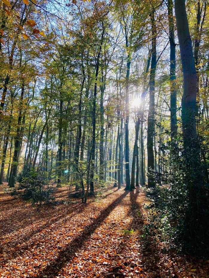 life-coach-breda image life coach breda