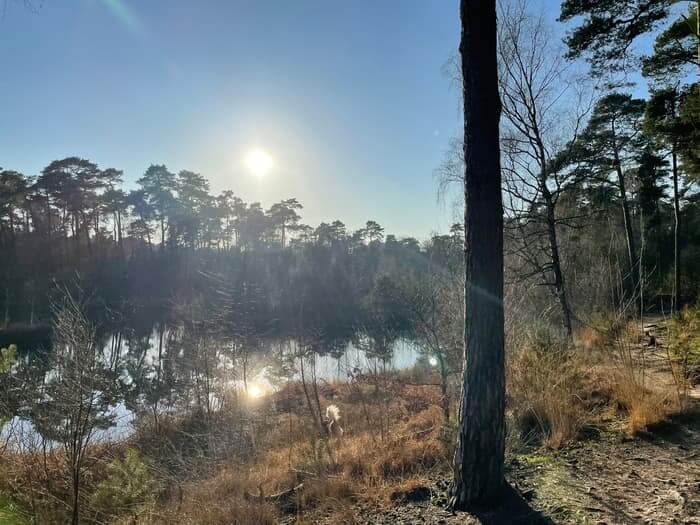 life coach den bosch